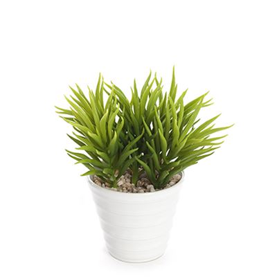 Cactus Succulent Realistic Artificial Plant In White Pot 15cm